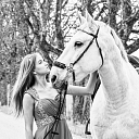 Photo session with horses