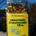 Organismu atjaunojoša tēja