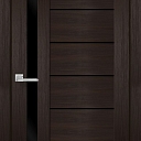 Door delta wenge, black glass