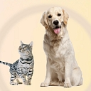 Everything you need for dogs and cats