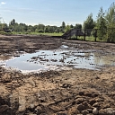 A nuisance after the rain