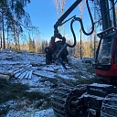 Гнезда Эй Джей, ООО