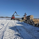 Delivery and loading of timber with machinery after harvesting