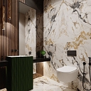 interior design for a toilet room