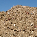 Processing of wood waste separated from construction debris