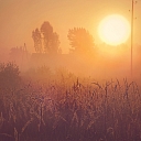 Fotogrāfs
