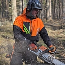 Profesionāla cirsmu izstrāde ar motorzāģi Rēzeknes novadā