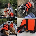 Glabsanas veste Besto dog buoyancy aid 3