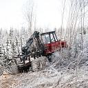 Logging