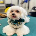 Gruming School Learning Center