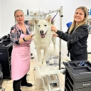 Gruming School Learning Center