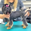 Gruming School Learning Center