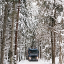 Kokmateriālu transports