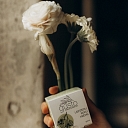 Linden flower hand cream