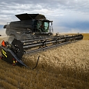 Honey Bee Agricultural Machinery