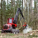 Purchase of felling areas