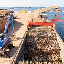 Kokmateriālu tirdzniecība