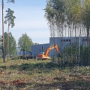 Услуги лесоразработки