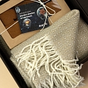 Promotional advertising