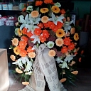 Dahlia, flower shop, funeral wreaths