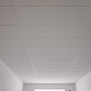 Survey of existing ceilings
