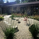 ZEN garden