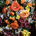 Dahlia, flower shop, funeral wreaths