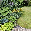 landscape design project