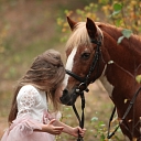 Photo session with horses