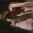 Photo session with horses