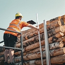 Sale of logs