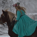 Photo session with horses