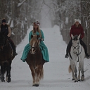Photo session with horses