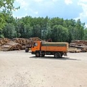 Перевозка древесины — грузовик в действии