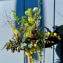flower floristics