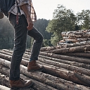 Purchase of saw logs