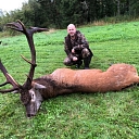 Hunting tours in Europe