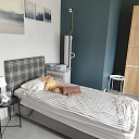 Sleep Disorders Center