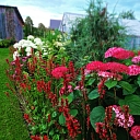 цветочная клумба