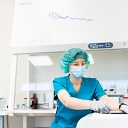 Artificial insemination