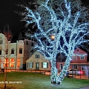 LED koku dekorācijas