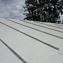 Roof painting