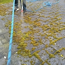 Roof anti-moss treatment