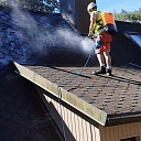 Roof anti-moss treatment