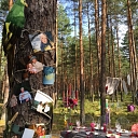 Decoration of the festive room