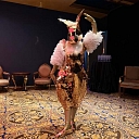 Golden Bunny Show