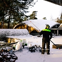 Tree cutting