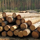 Sale of timber materials