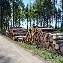 лесной склад