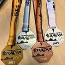 Medals